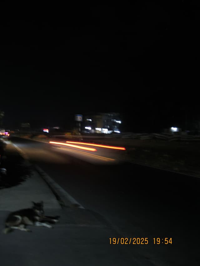 19 FEB 25
